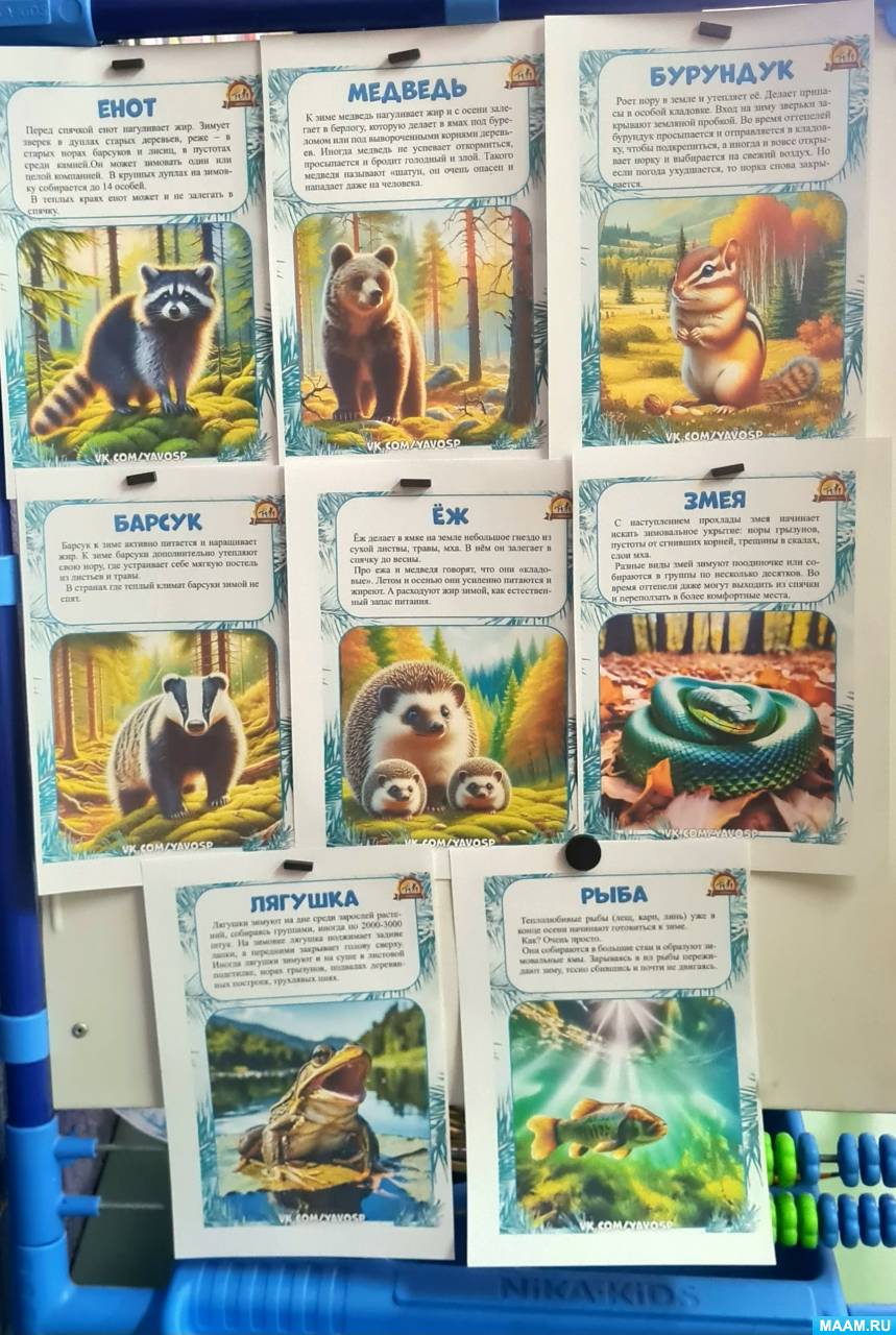 ������� �� ������������ � �������� � ������� ������ ������ �������� � �� �������