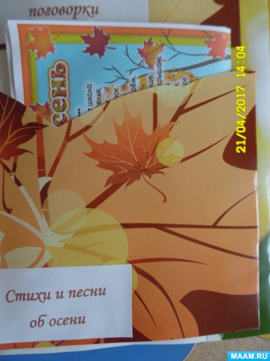 Смотреть фотографию №8 Фото №8 На первой странице я расположила кармашка это
