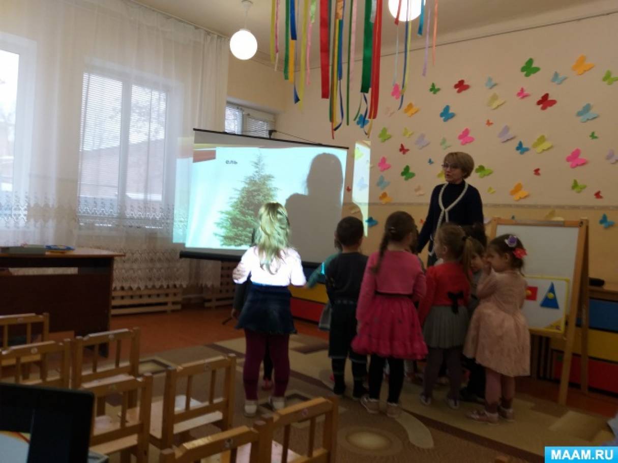 Конспект итогового занятия за первый квартал «Прогулка в лес» Фото Конспект итогового занятия за первый квартал «Прогулка в лес»