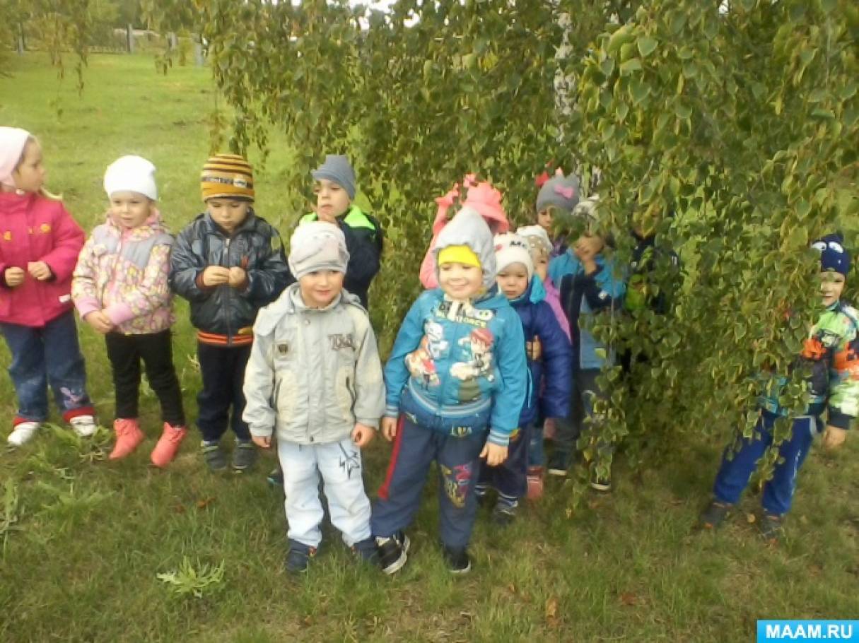 Конспект занятия по ИЗО в средней группе «Березовая роща» (конструирование из бумаги) Фото Конспект занятия по ИЗО в средней группе «Березовая роща» (конструирование из бумаги)
