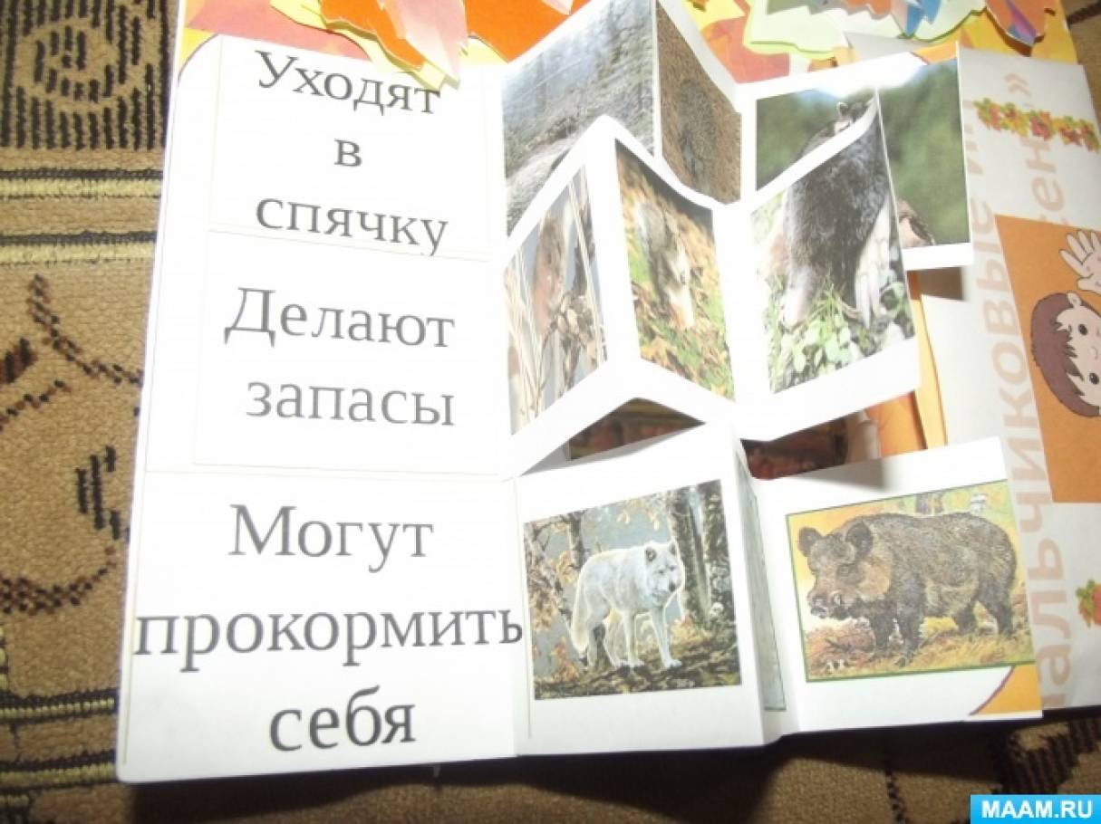detsad-741326-1604497992.jpg