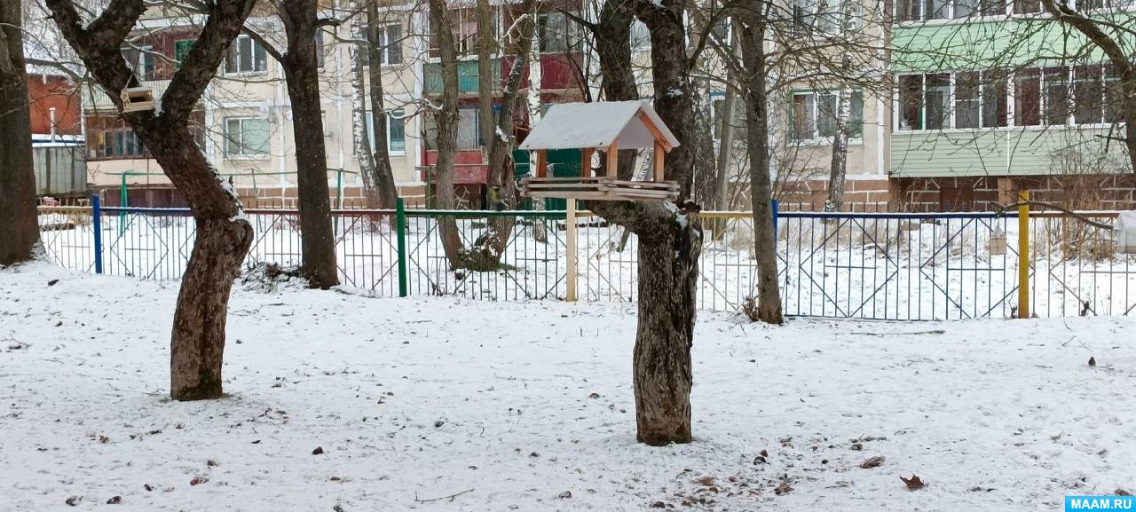 Смотреть фотографию №9 Фото №9 Зимующие птицы зимующих птицах их образе жизни роли человека в жизни птиц познакомить с экологическим праздником