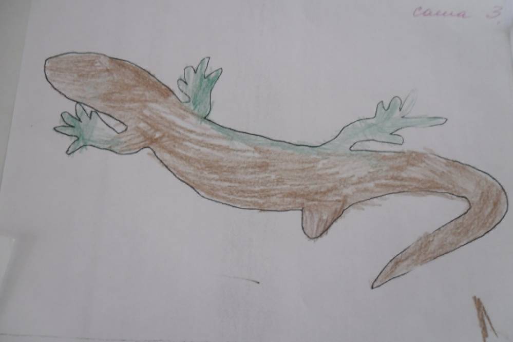 ���� ������������� (���������)