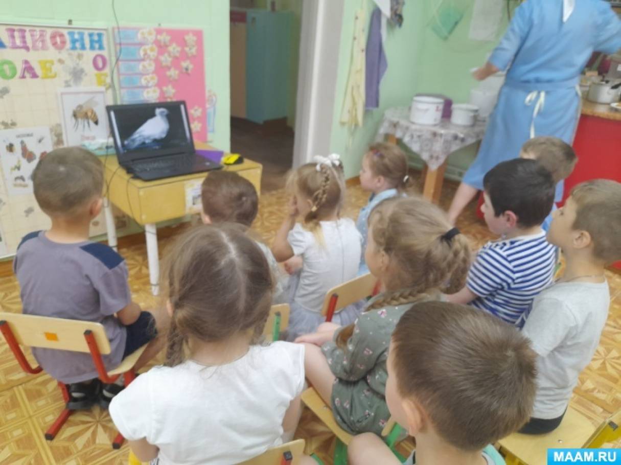 Фотоотчет «Всероссийский урок Победы» для дошкольников