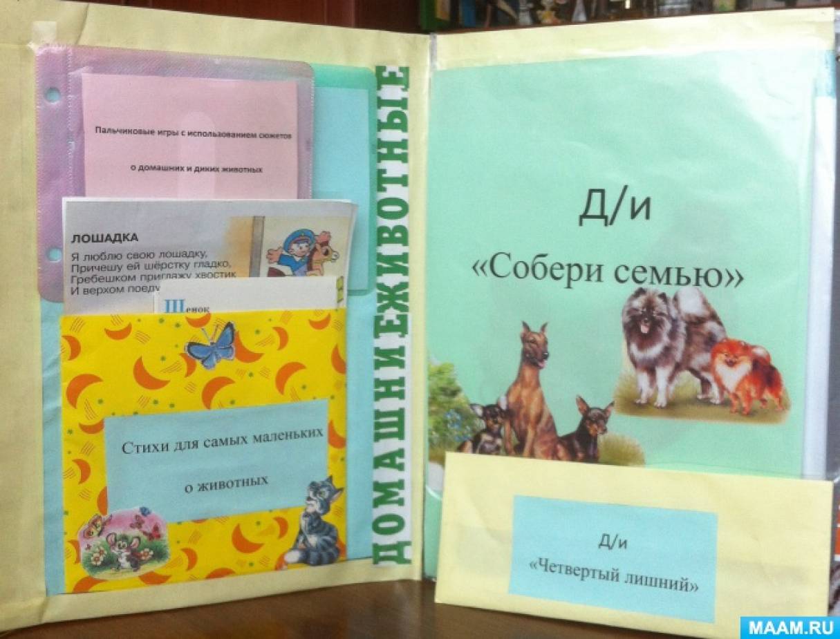 Лэпбук по теме «Дикие и домашние животные». Воспитателям