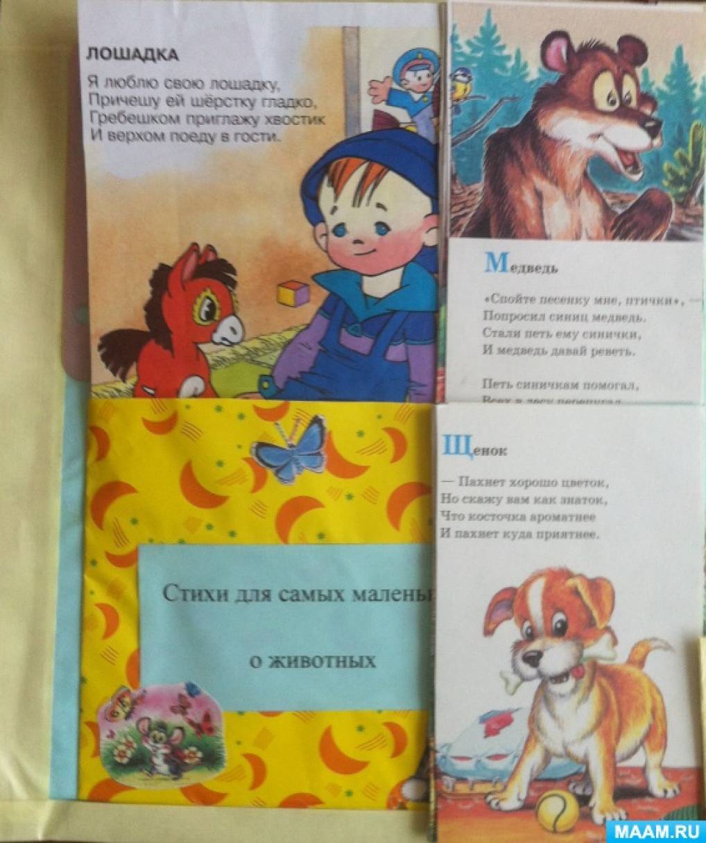 Лэпбук по теме «Дикие и домашние животные». Воспитателям