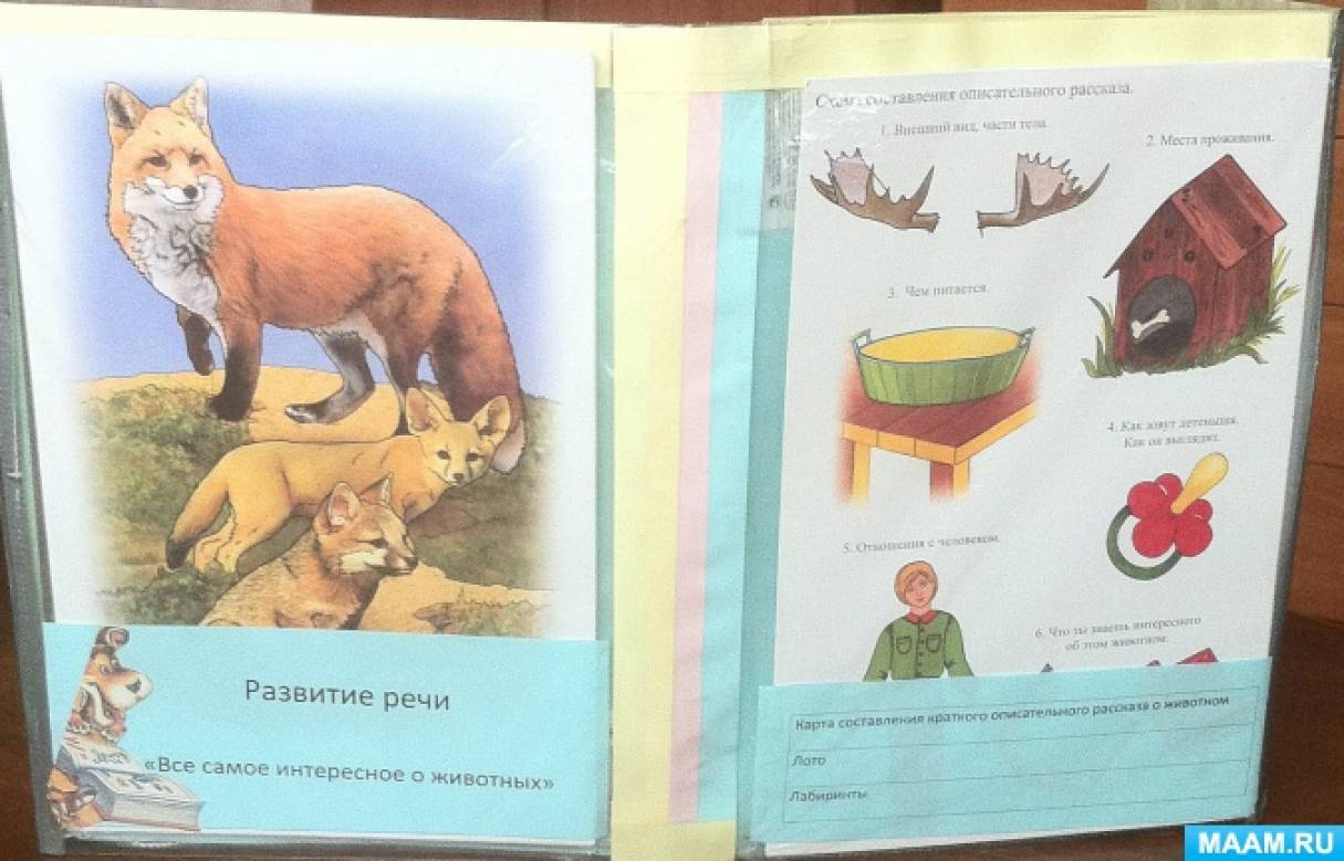 Лэпбук по теме «Дикие и домашние животные». Воспитателям