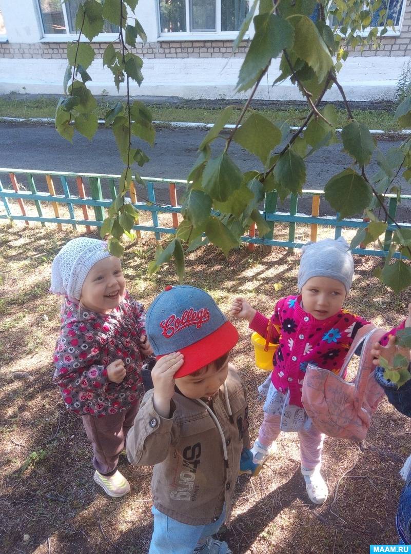 Фотоотчёт о наблюдениях на прогулке в группе раннего возраста за живой природой «Мы — маленькие экологи»