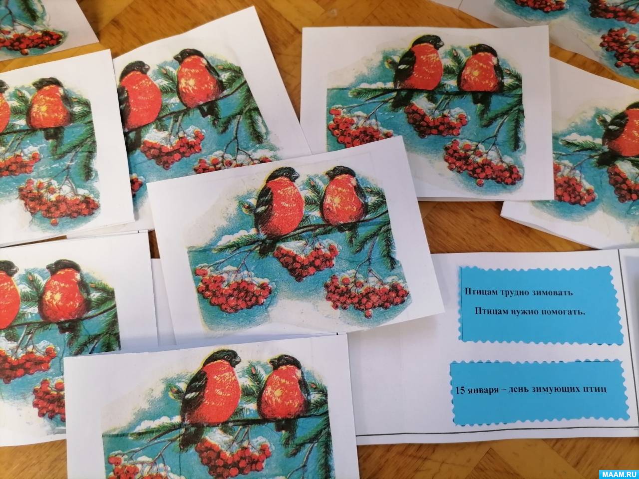 ��������-������� ������� ������ ��������, ������ ����� ��������� � ������� �������