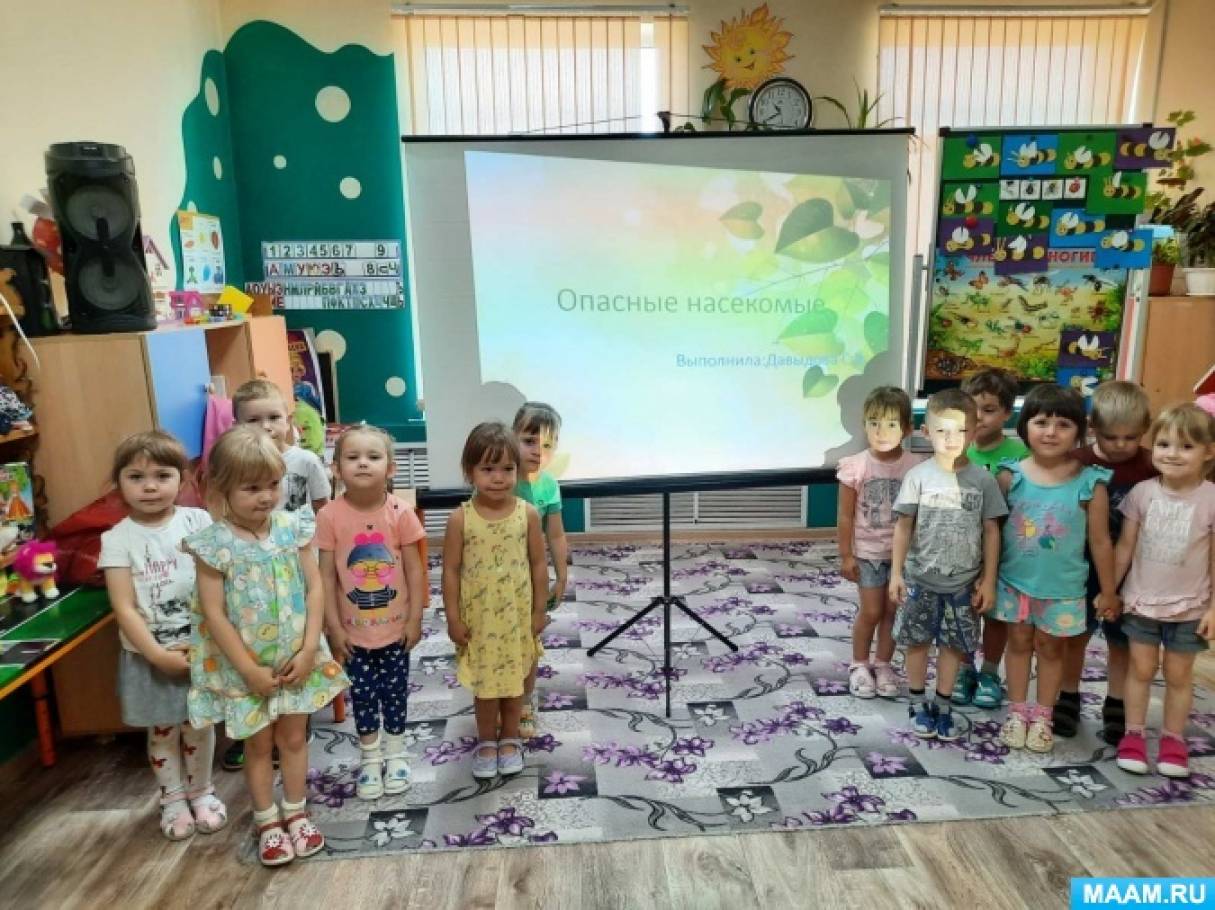 фотоотчёт «опасные насекомые»