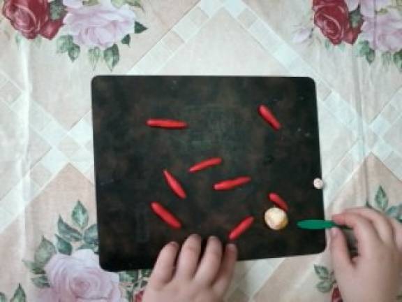 «Осьминог» Фото «Осьминог»