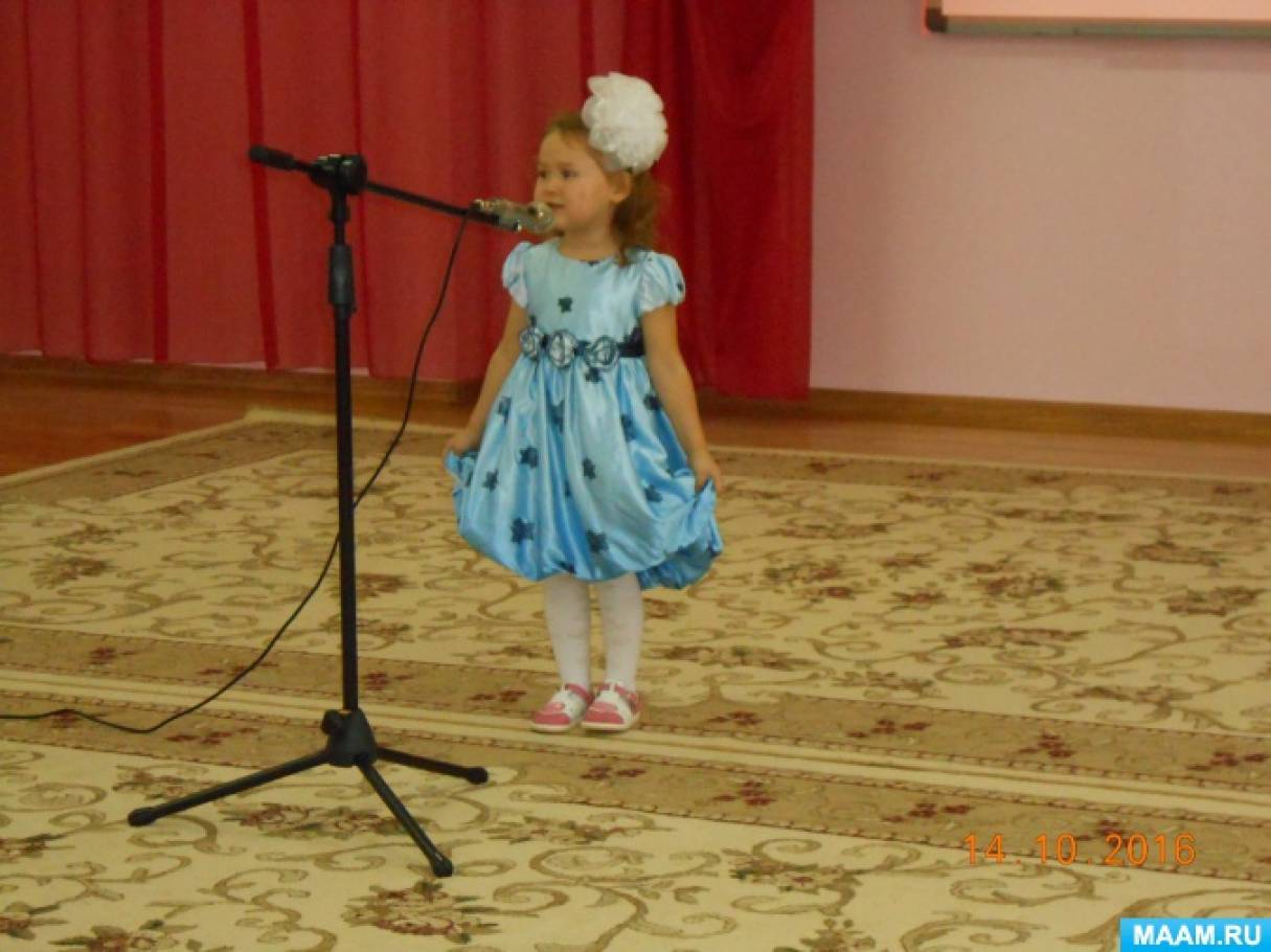 Детские гала концерт. Концерт мышек 2015 г Кызыл.