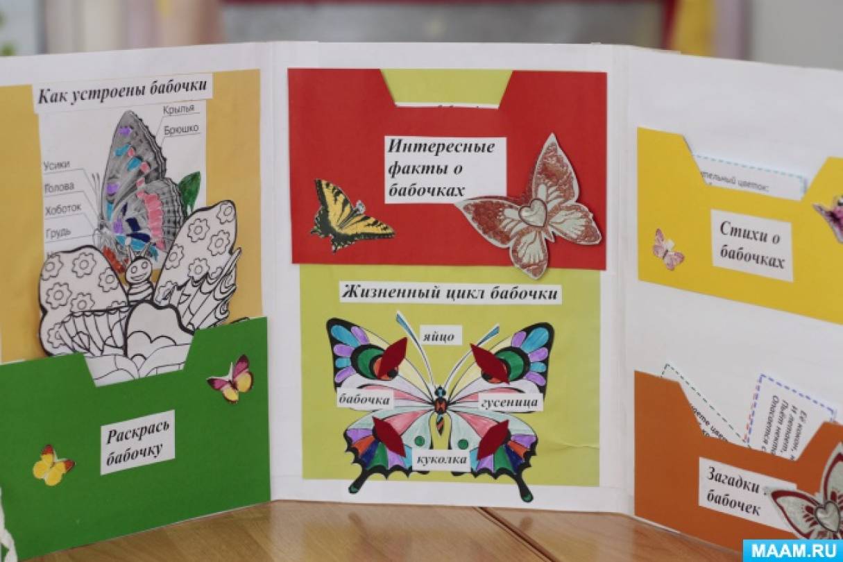 Шаблон лэпбук красная книга