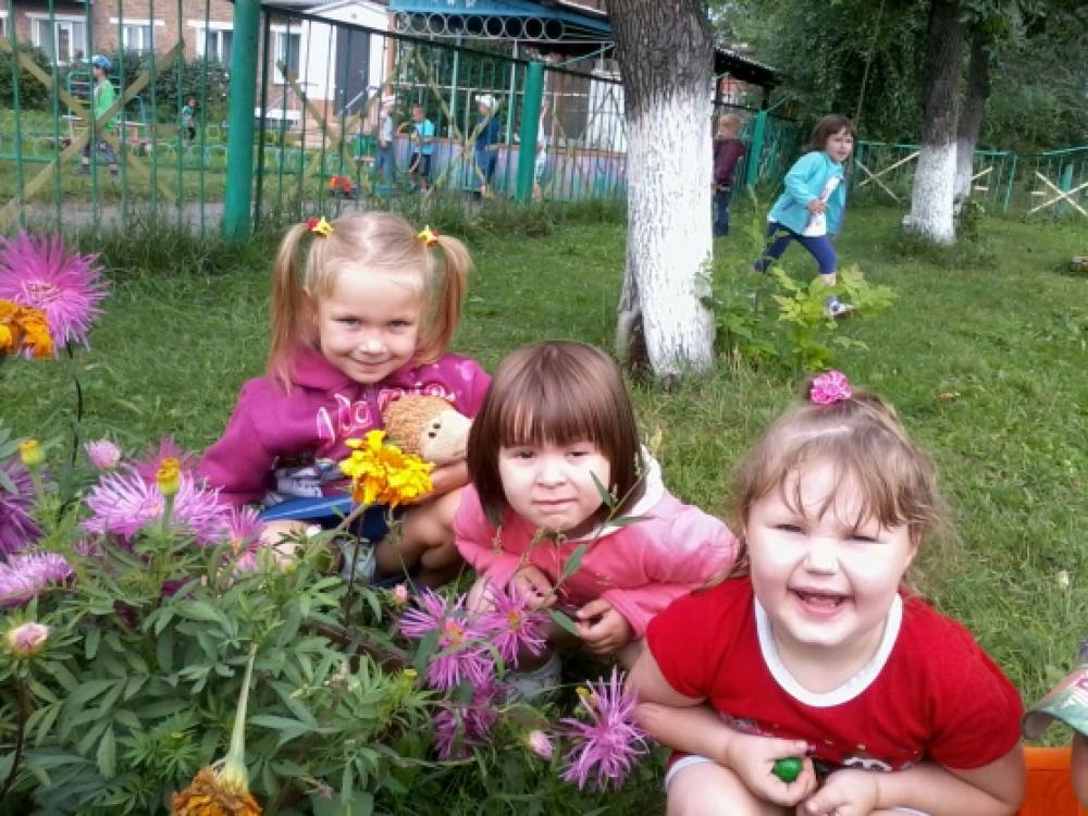 Фотоотчет «Подарок осени» Фото Фотоотчет «Подарок осени»