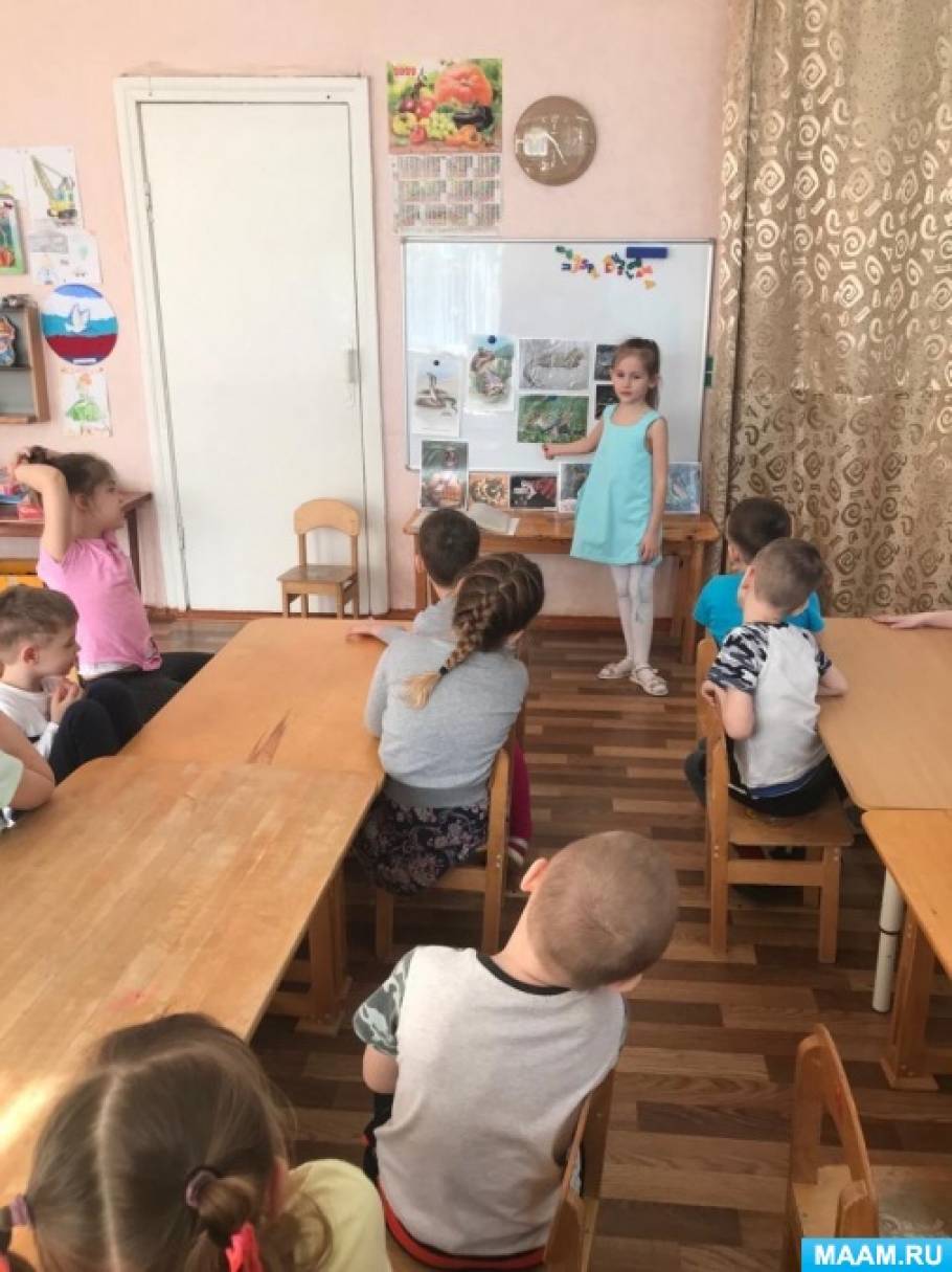 Конспект занятия по ознакомлению с окружающим для старшей группы «Пресмыкающиеся»