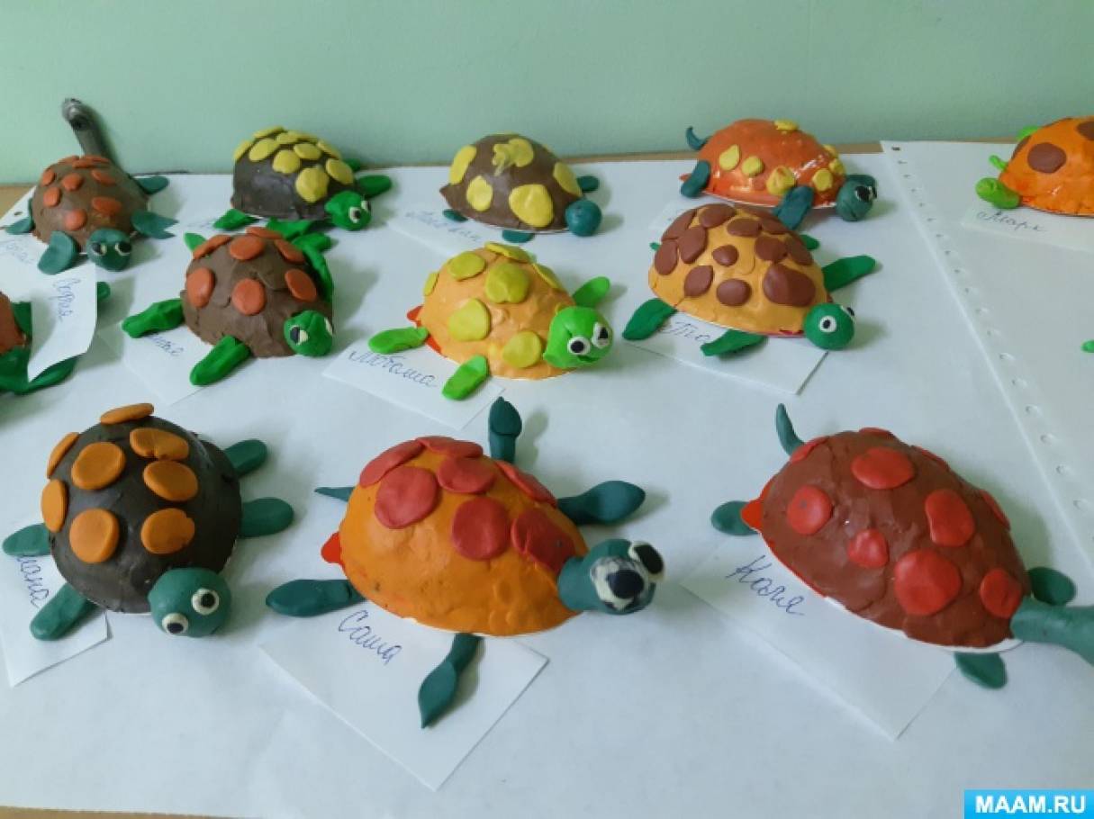 Черепаха средняя группа. Лепка черепаха в старшей группе. Лепка в средней группе. Лека в подготовительной группе. Лепка в детском саду старшая группа.