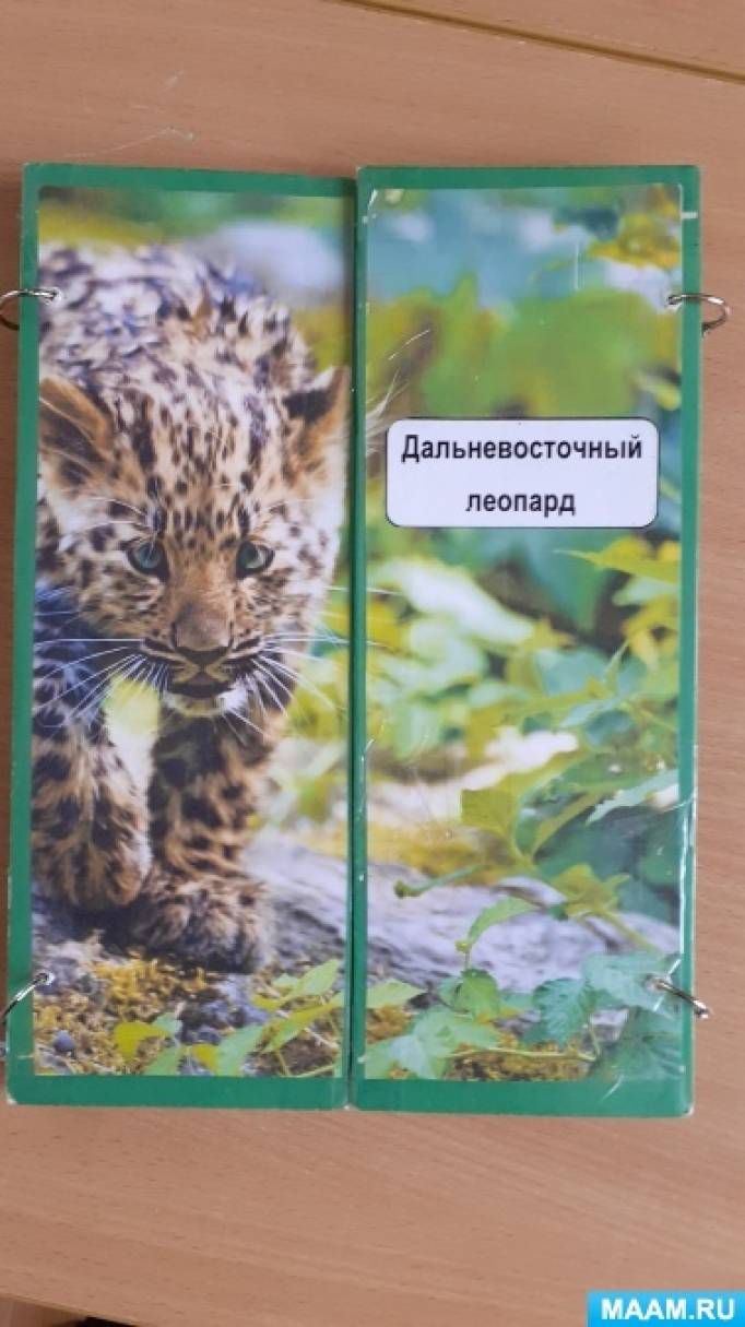 Лэпбук «Дальневосточный леопард»