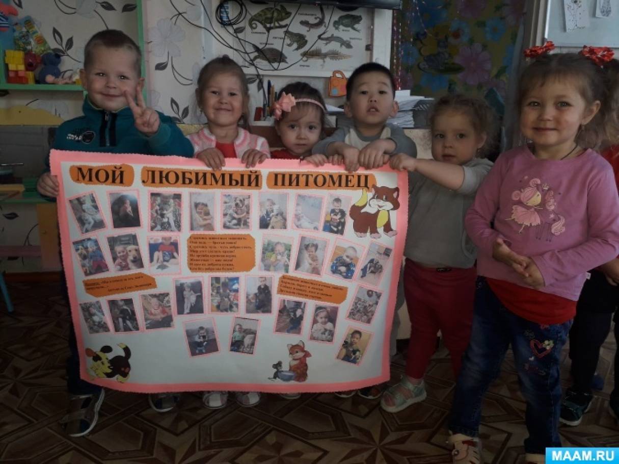 Фотоотчёт о творческом проекте «Домашние животные» в младшей группе Фото Фотоотчёт о творческом проекте «Домашние животные» в младшей группе