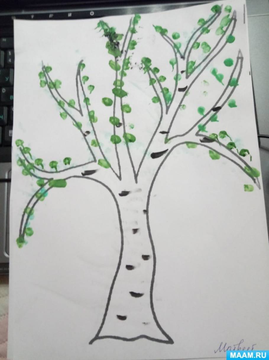 Весеннее дерево в средней группе. Рисование Весеннее дерево в средней группе. Рисование в средней группе дерево весной. Рисование весенне деоево. Рисование береза в подготовительной группе.