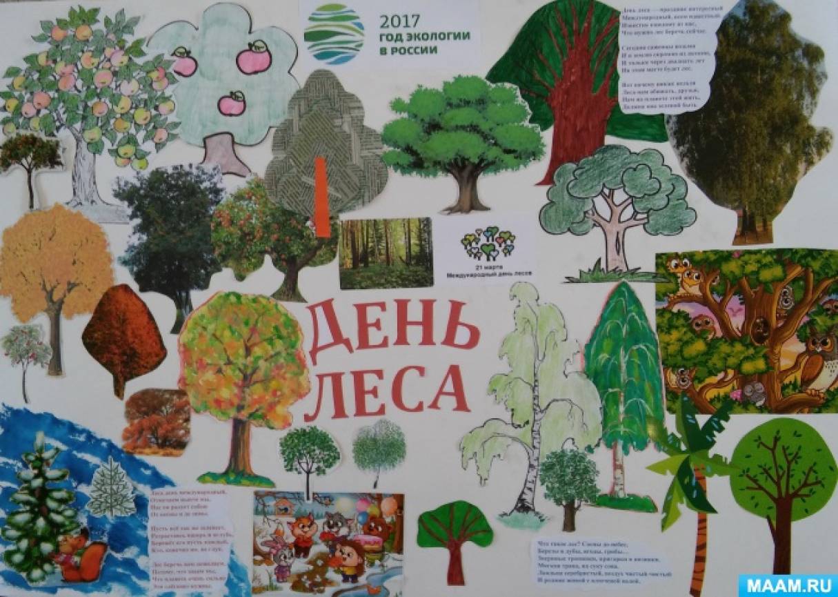 Мероприятия ко дню леса. Стенгазета. Международный день лесов плакаты. Международный день леса плакат. Плакат день леса в детском саду.