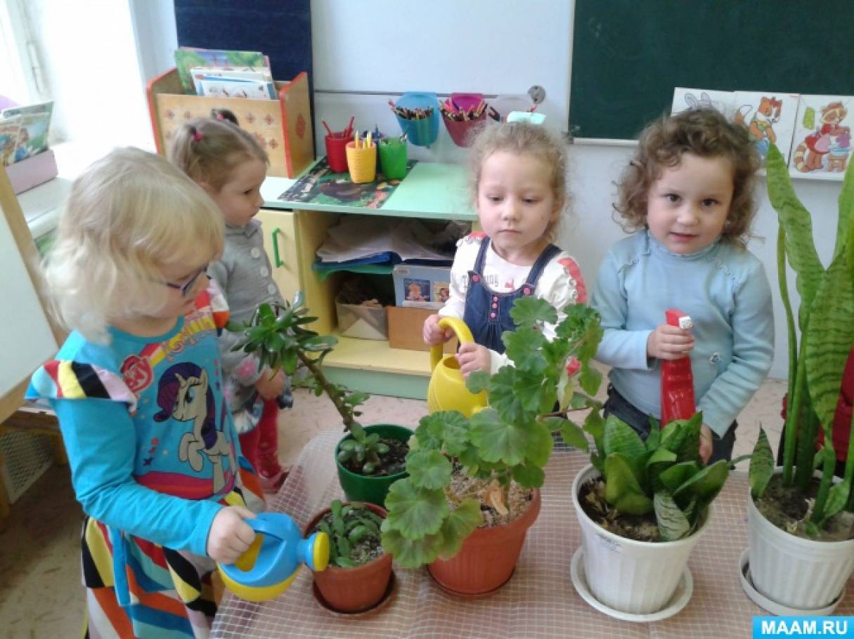 Уголок труда средняя группа. Комнатные растения в детском саду средняя группа. Цветы для детей в детском саду. Ухаживание за растениями в детском саду. Поливание цветов детский сад.