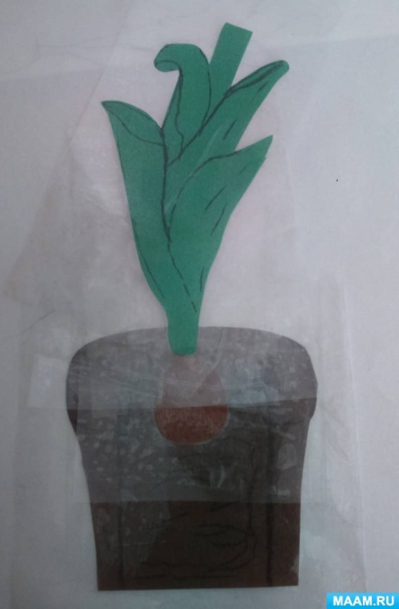 Дидактическая игра «Вырасти растение» (19 фото). Воспитателям детских ...