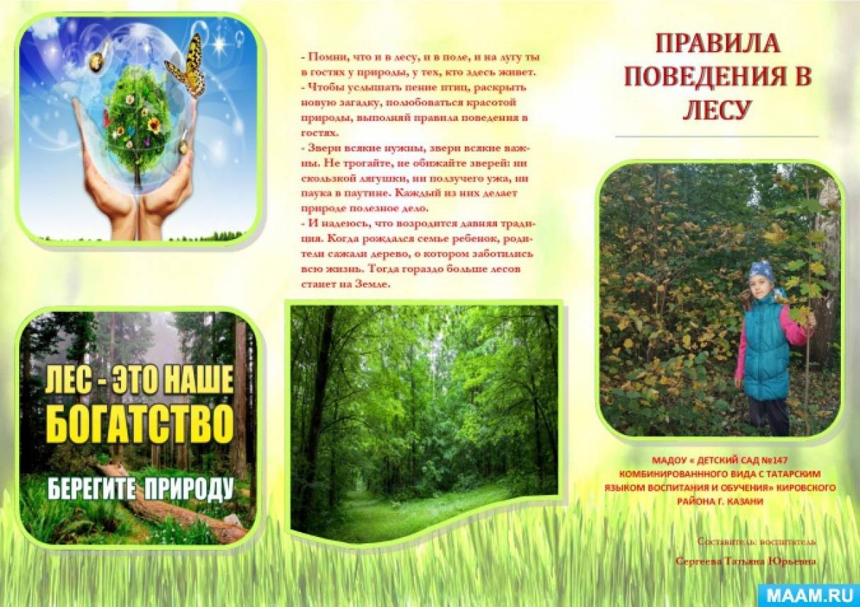 Буклет на тему экология. Экологический буклет. Экологические брошюры для детей. Буклет по экологии. Брошюры по экологии для родителей.