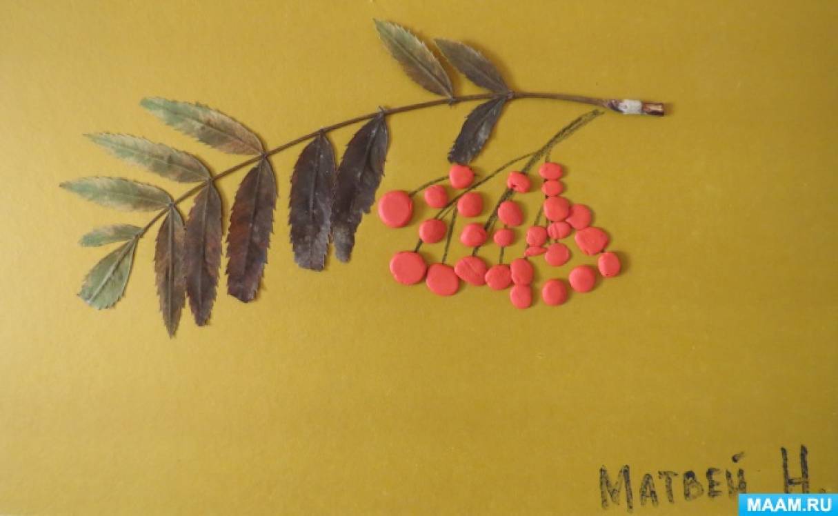 лепка рябины средняя группа