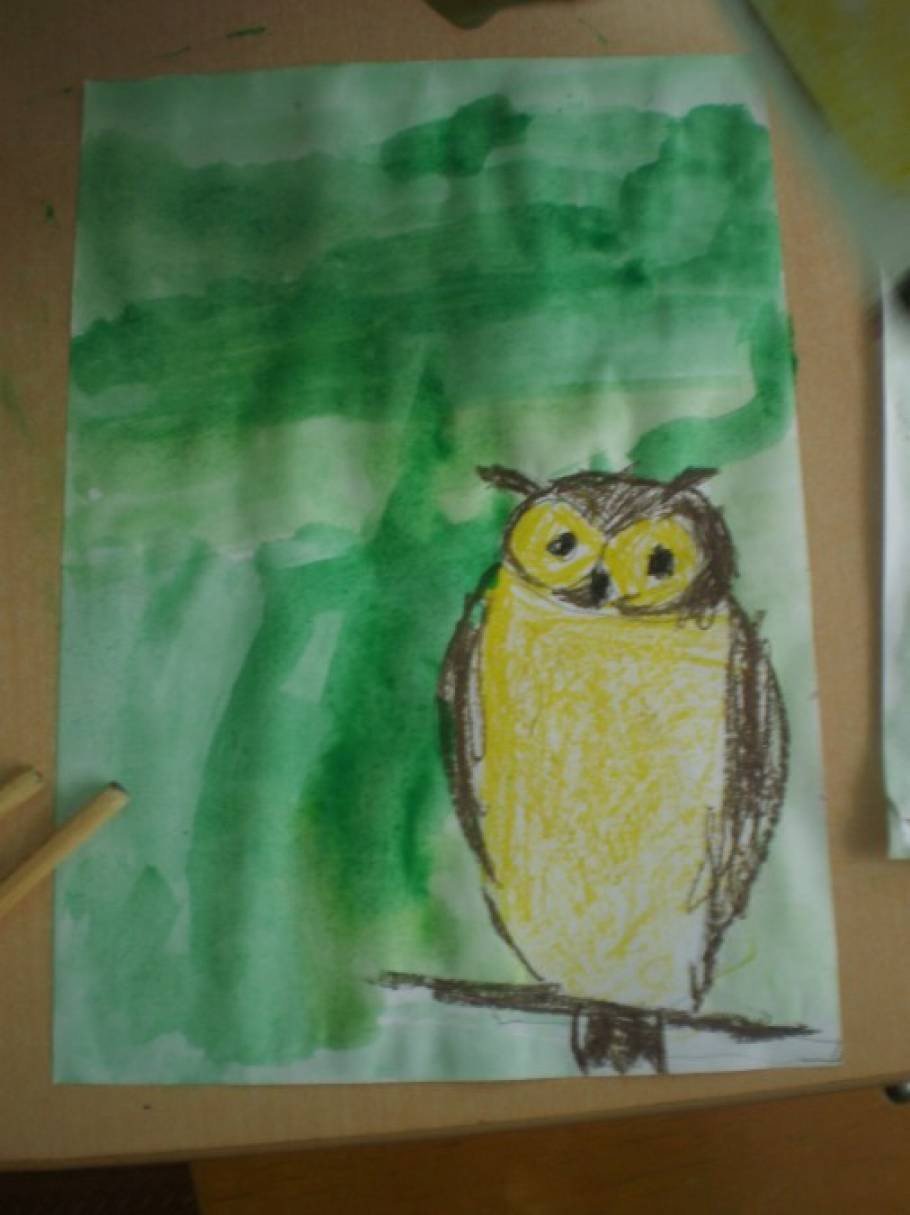 Рисуем сову с ребенком 5 лет