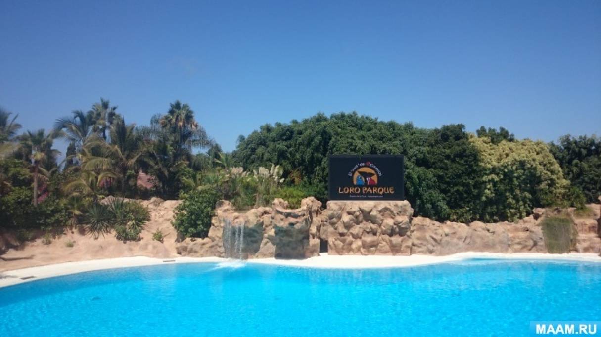 ������������ ���� ��������� �� ��� ������ ������� �������������. ����� ������