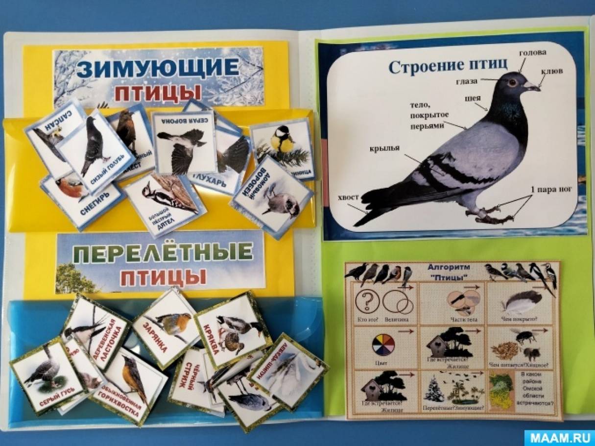 Лэпбук «Птицы». Дидактическое пособие для старших дошкольников (5 фото ...