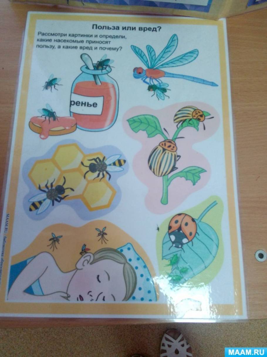 Развитие ребенка все насекомые на одной картинке