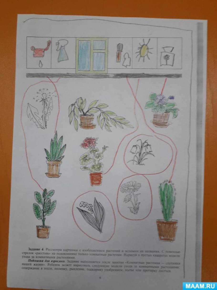 Конспекты уроков комнатными растениями. Рисование комнатные растения подготовительная группа. Рисование комнатные растения старшая группа. Рисование в младшей группе на тему комнатные растения. Комнатные растения – спутники нашей жизни.