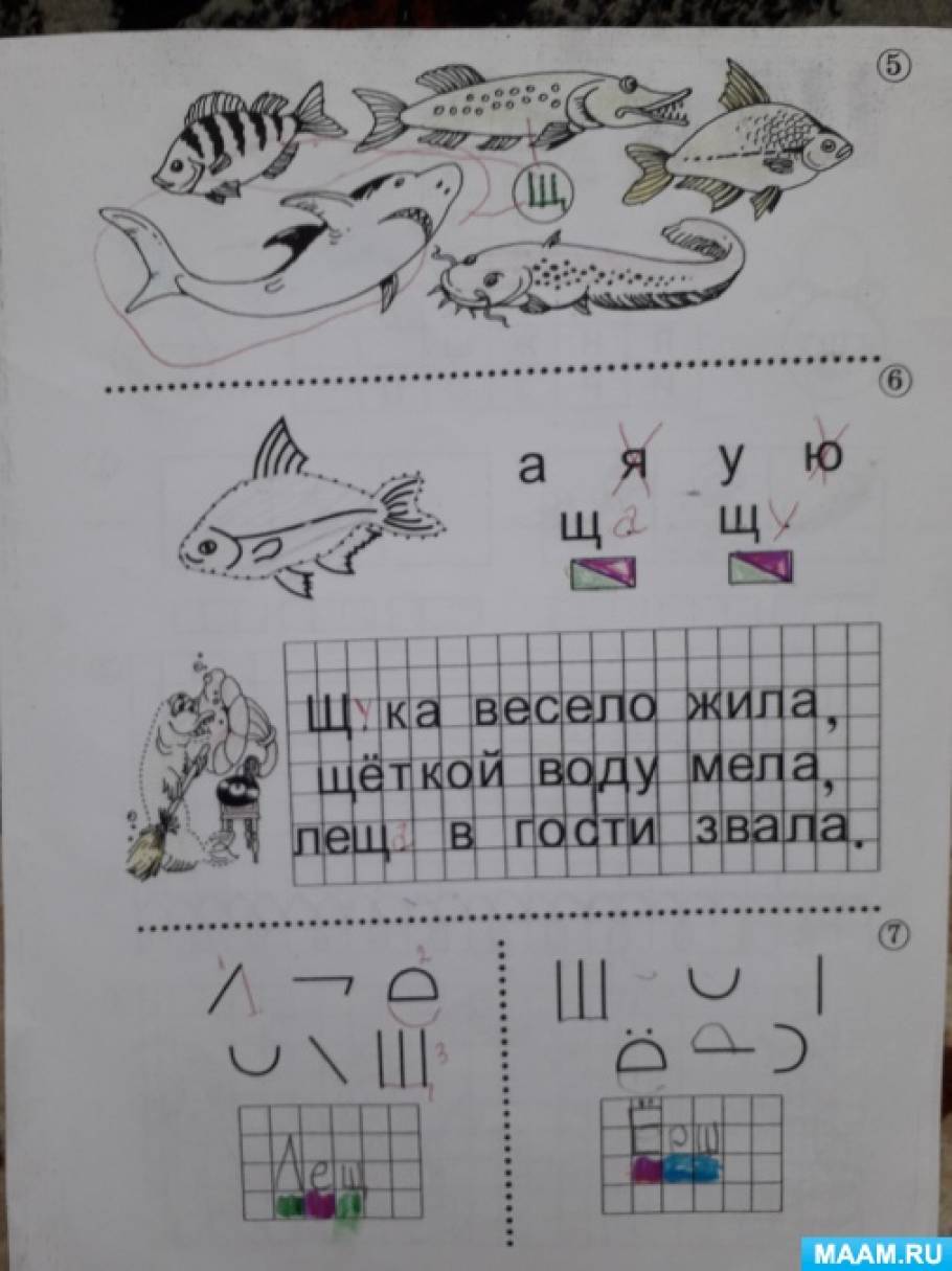 Схемы слов с буквой а. Звуковой анализ слова щука. Щука звуковая схема 1 класс. Схема слова окунь. Чаща роща щука часы туча чудо звуковые модели записать по порядку.