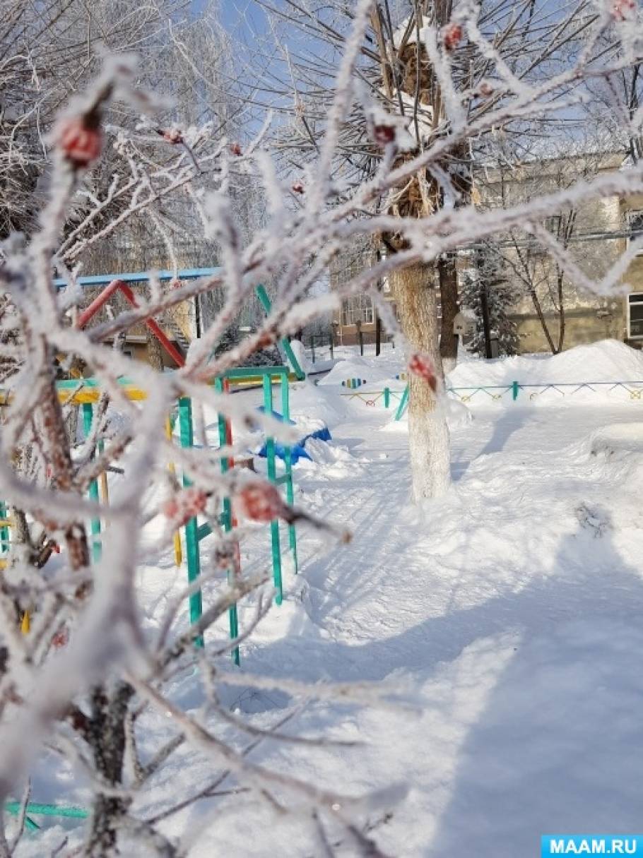 Фотоотчет «Снег — чудо природы» для педагогов и родителей