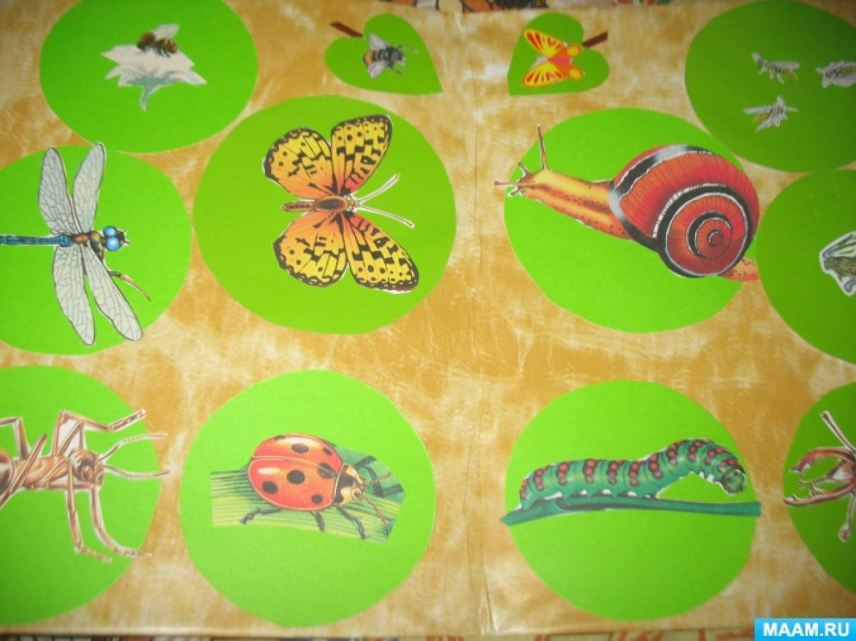Поделка на тему насекомые для дошкольников. Пазл насекомые вторая младшая группа. Картинки к экологическая игре насекомые. Дидактические игры на тему насекомые в младшей группе.
