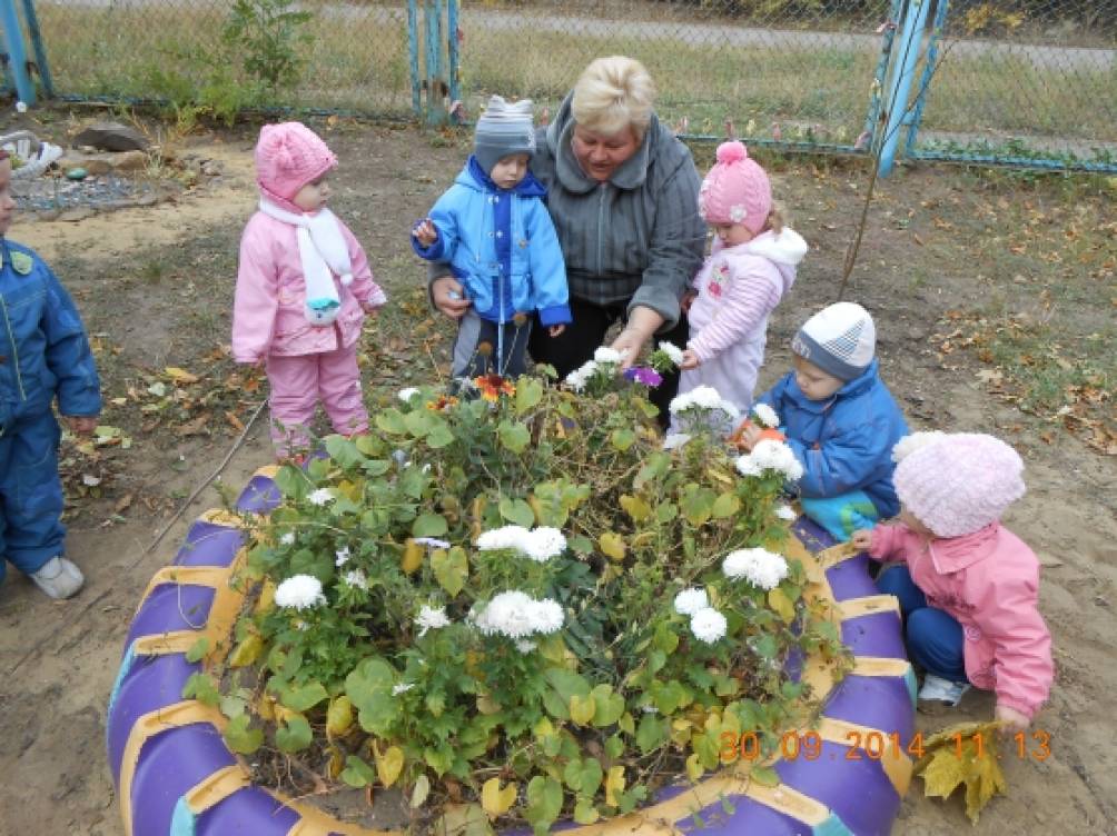 Конспект занятия-прогулки для детей первой младшей группы «Листопад» Фото Конспект занятия-прогулки для детей первой младшей группы «Листопад»
