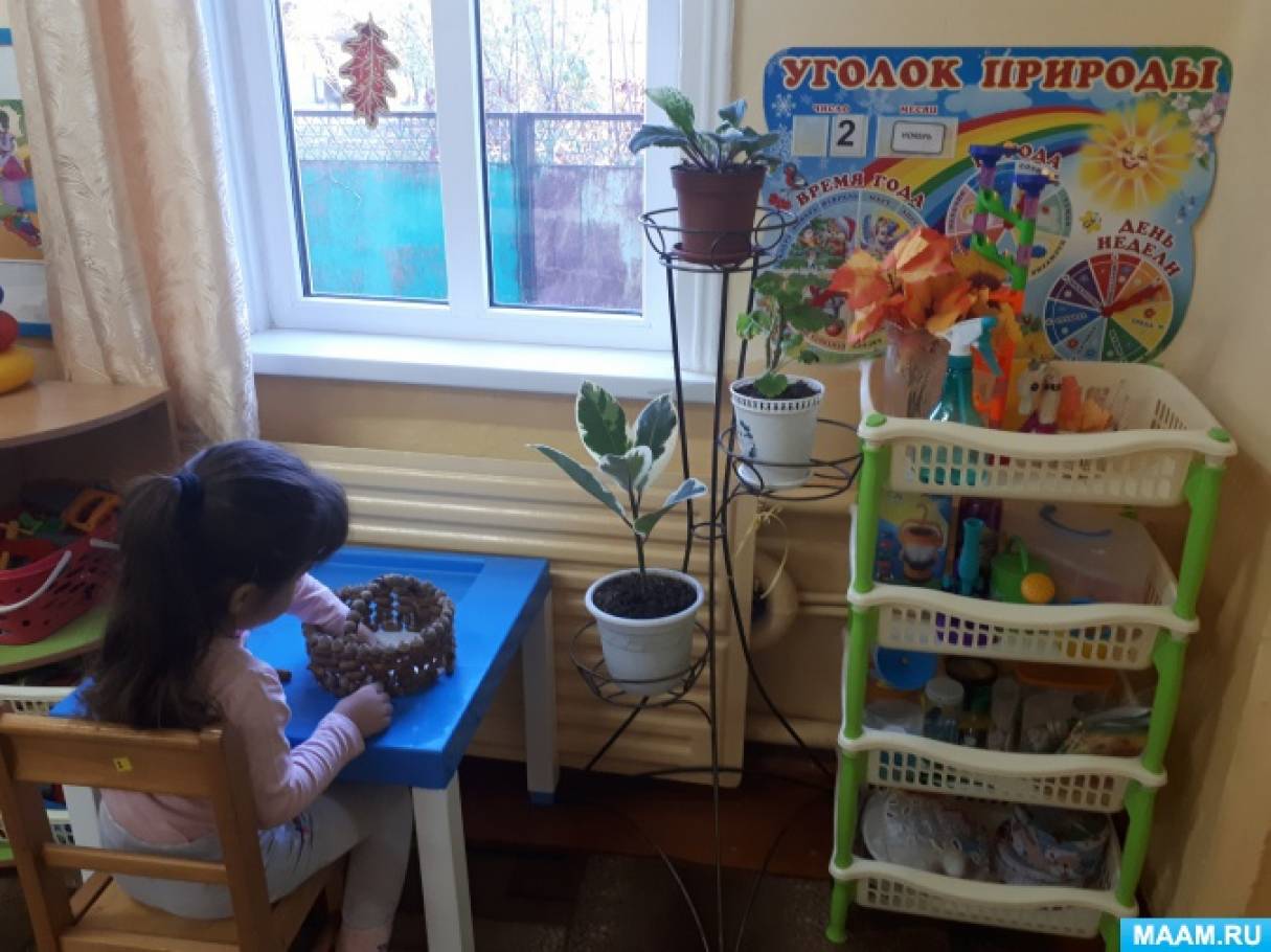Уголок природы что это. Смотреть фото Уголок природы что это. Смотреть картинку Уголок природы что это. Картинка про Уголок природы что это. Фото Уголок природы что это