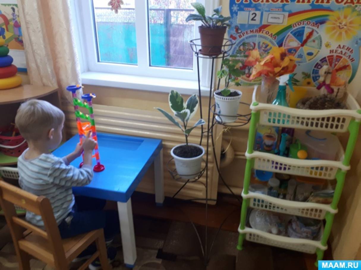 Уголок природы что это. Смотреть фото Уголок природы что это. Смотреть картинку Уголок природы что это. Картинка про Уголок природы что это. Фото Уголок природы что это