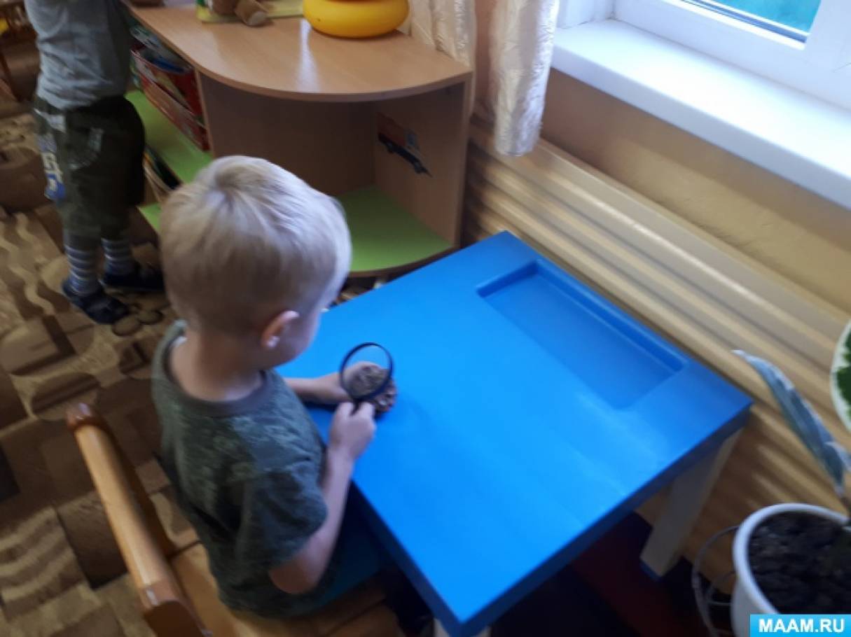 Уголок природы что это. Смотреть фото Уголок природы что это. Смотреть картинку Уголок природы что это. Картинка про Уголок природы что это. Фото Уголок природы что это