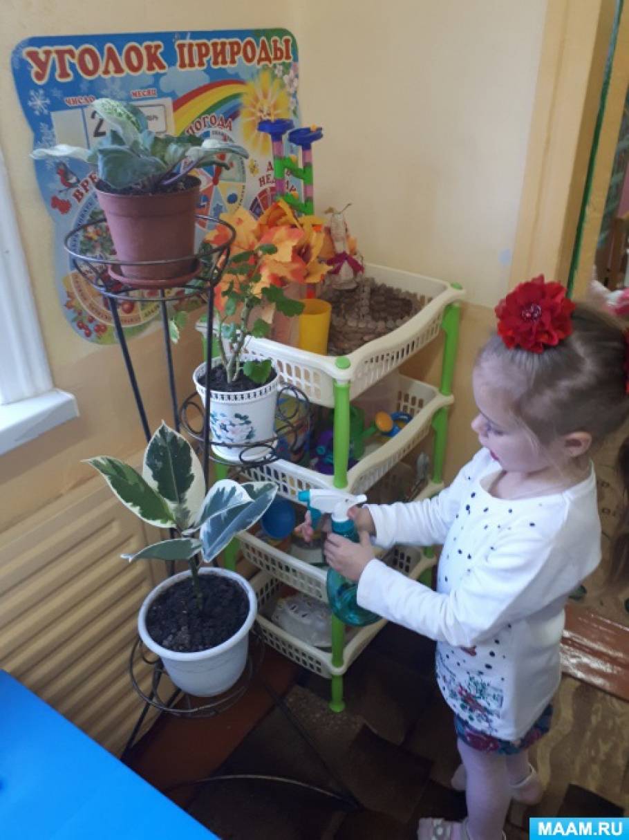 Уголок природы что это. Смотреть фото Уголок природы что это. Смотреть картинку Уголок природы что это. Картинка про Уголок природы что это. Фото Уголок природы что это
