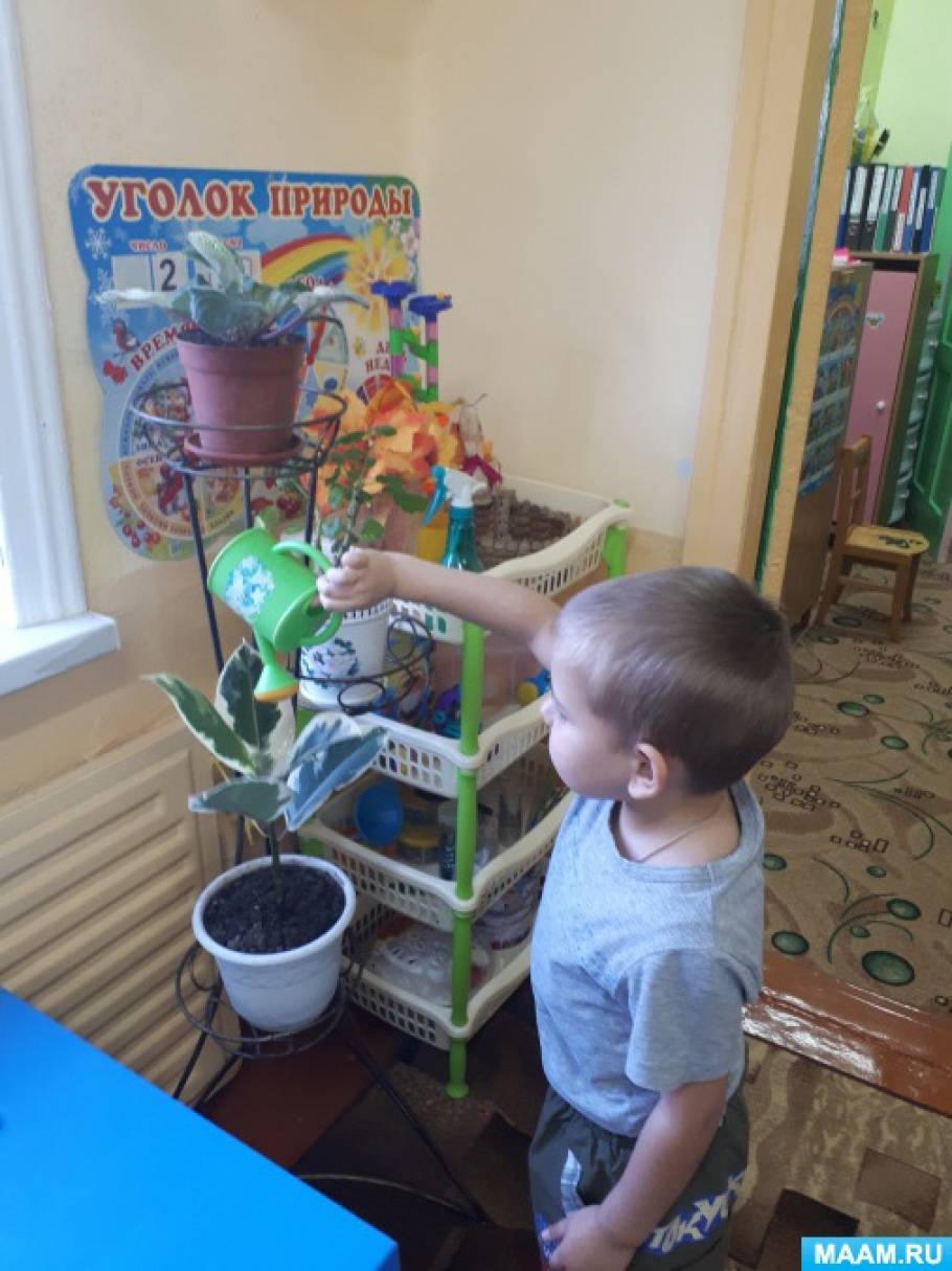 Уголок природы что это. Смотреть фото Уголок природы что это. Смотреть картинку Уголок природы что это. Картинка про Уголок природы что это. Фото Уголок природы что это