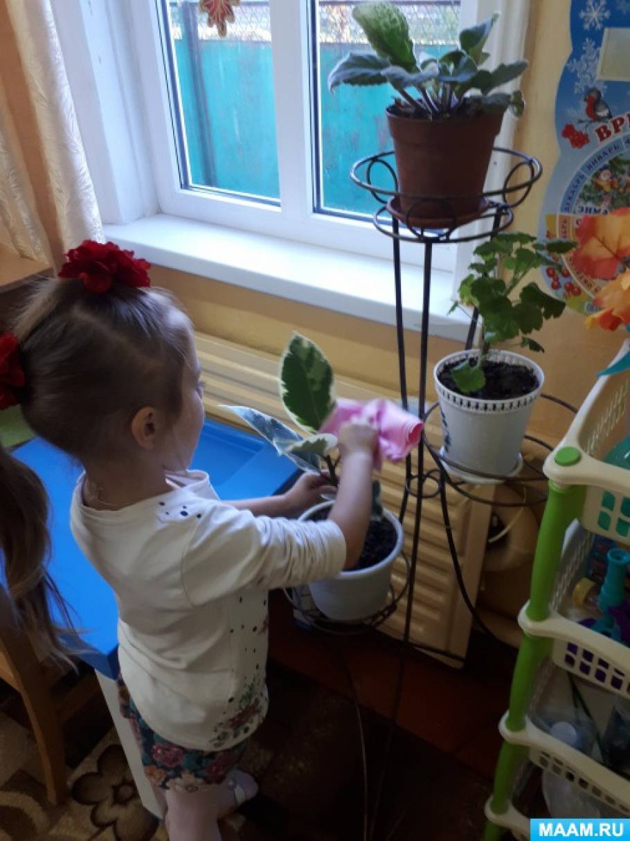 Уголок природы что это. Смотреть фото Уголок природы что это. Смотреть картинку Уголок природы что это. Картинка про Уголок природы что это. Фото Уголок природы что это