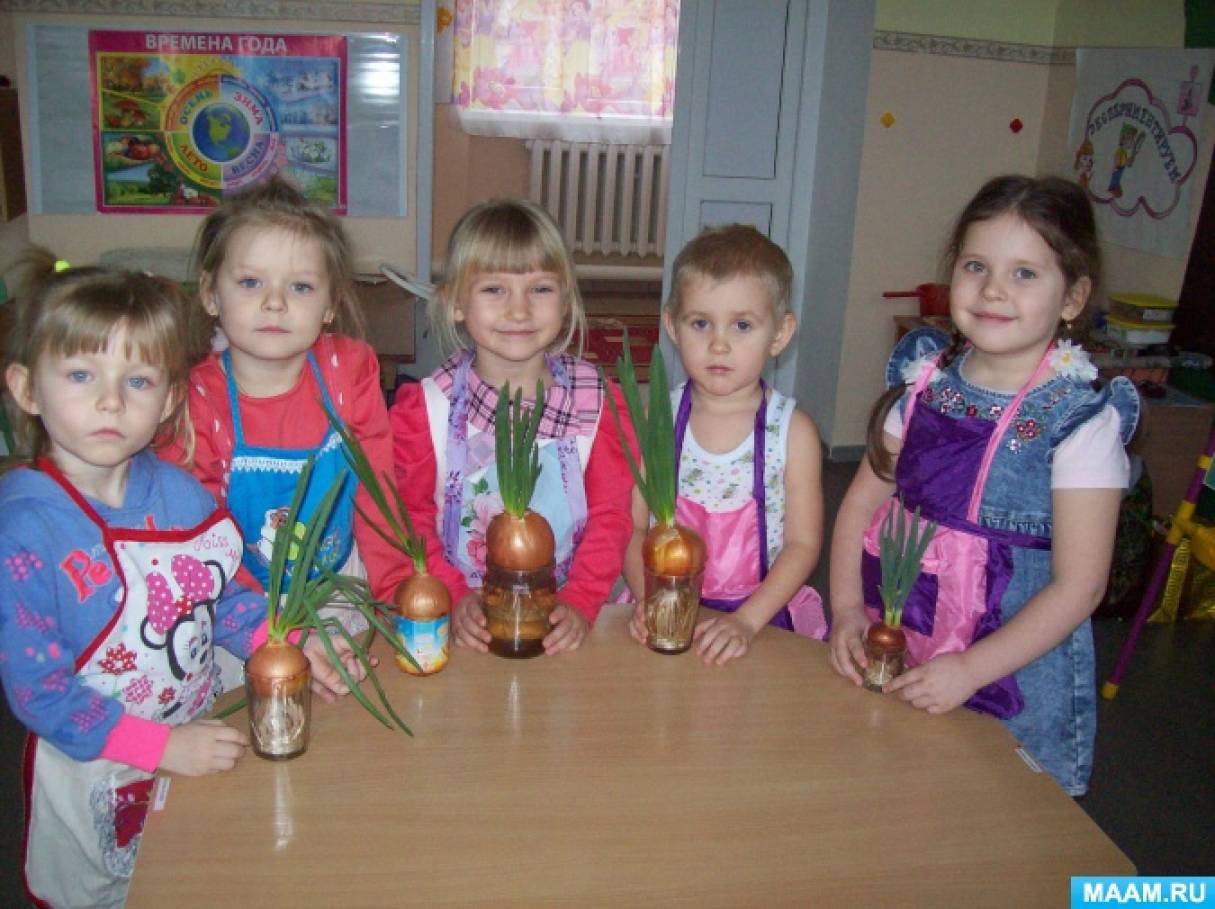 Смотреть фотографию №7 Фото №7 Уголки и научные центры Темочки
