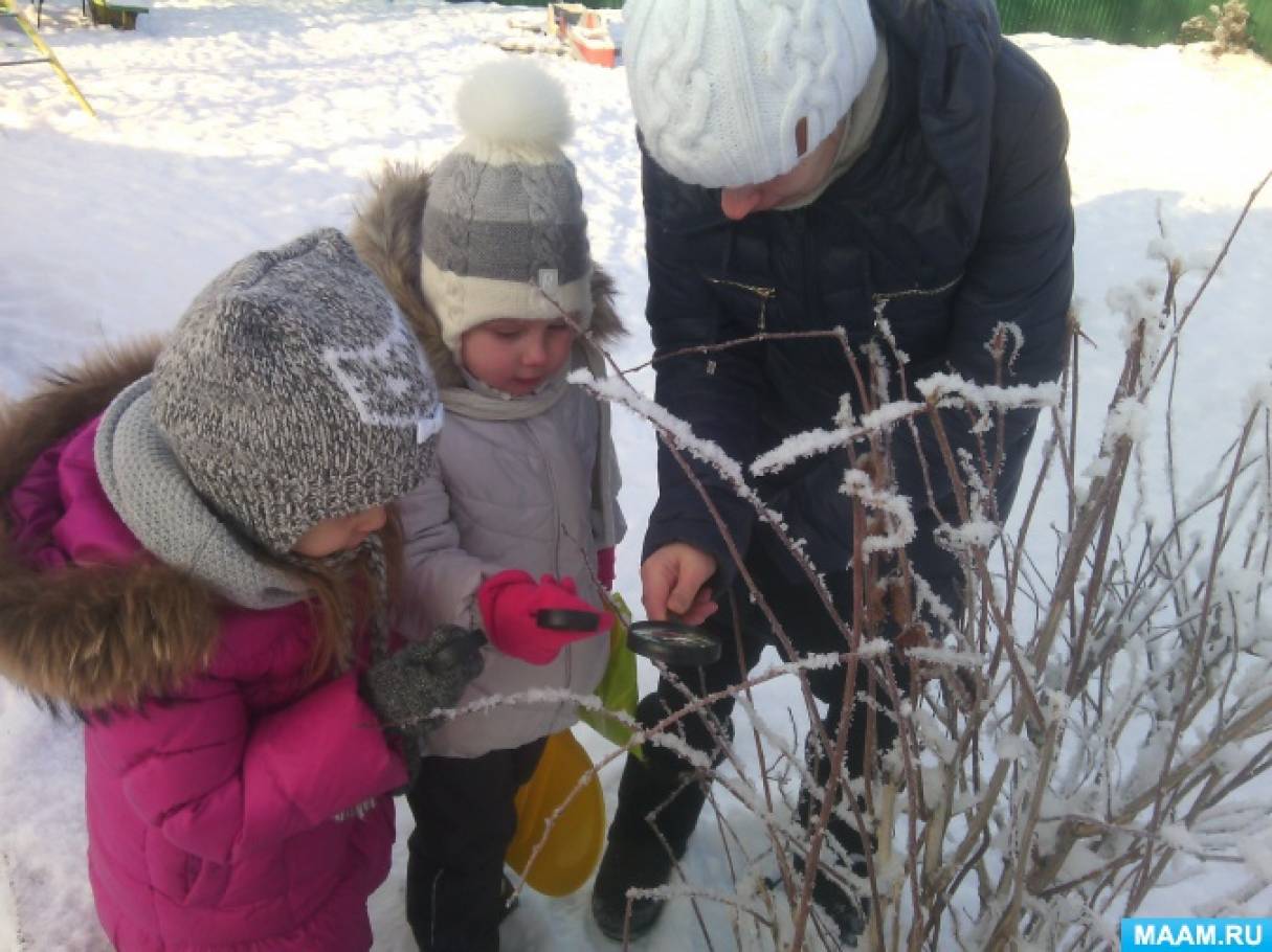 Что провести с детьми в марте. Дети наблюдают за природой в ДОУ. Наблюдение на прогулке зимой. Наблюдения за природой зимой. Наблюдение в детском саду на прогулке зимой.