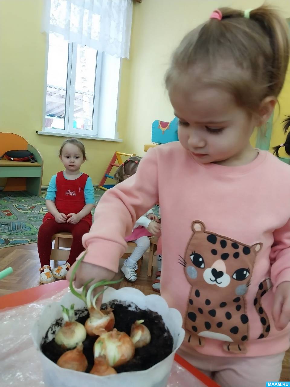 Краткосрочный проект с детьми 2–3 лет «Зелёный лук — это наш полезный друг?»