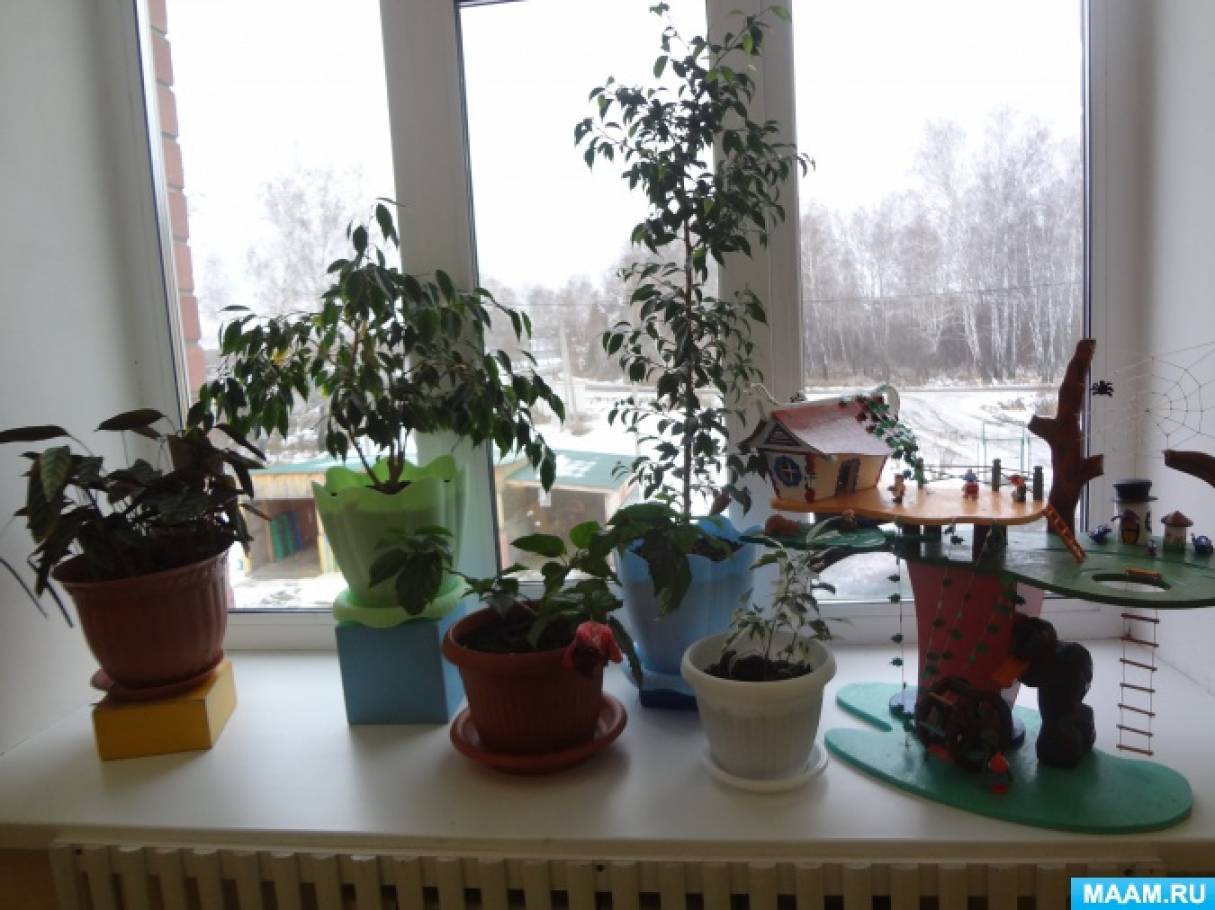 Уголок природы (4 фото). Публикация 689073. Воспитателям детских садов ...