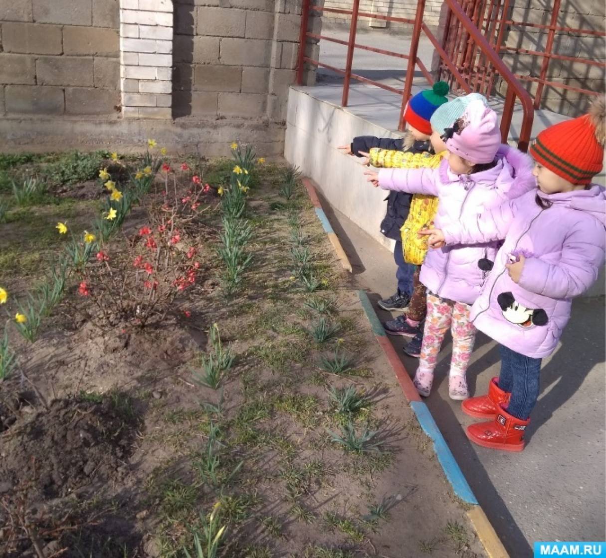 Прогулка наблюдение за цветами