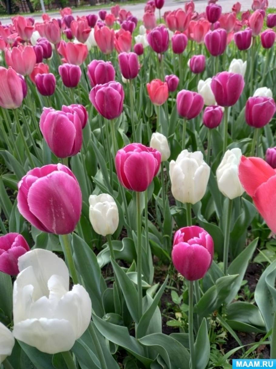 ������������ � ��������� ����� � �����