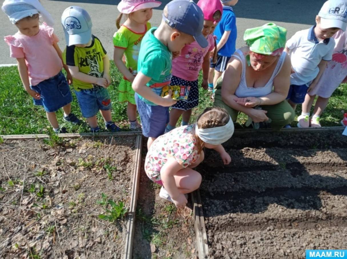 Фото «Вот оно какое-наше уральское лето»